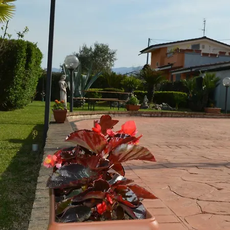 Nennella