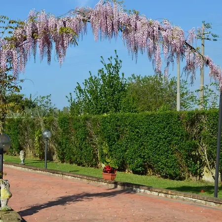 Nennella *