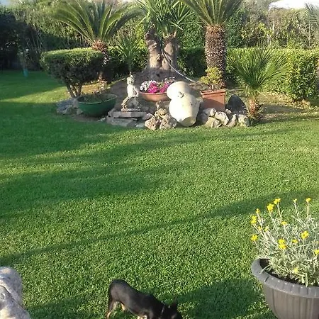 Nennella *