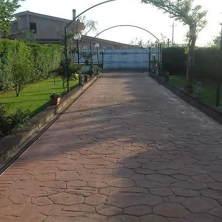 Nennella *