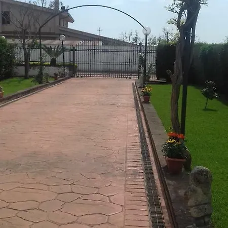 Nennella *